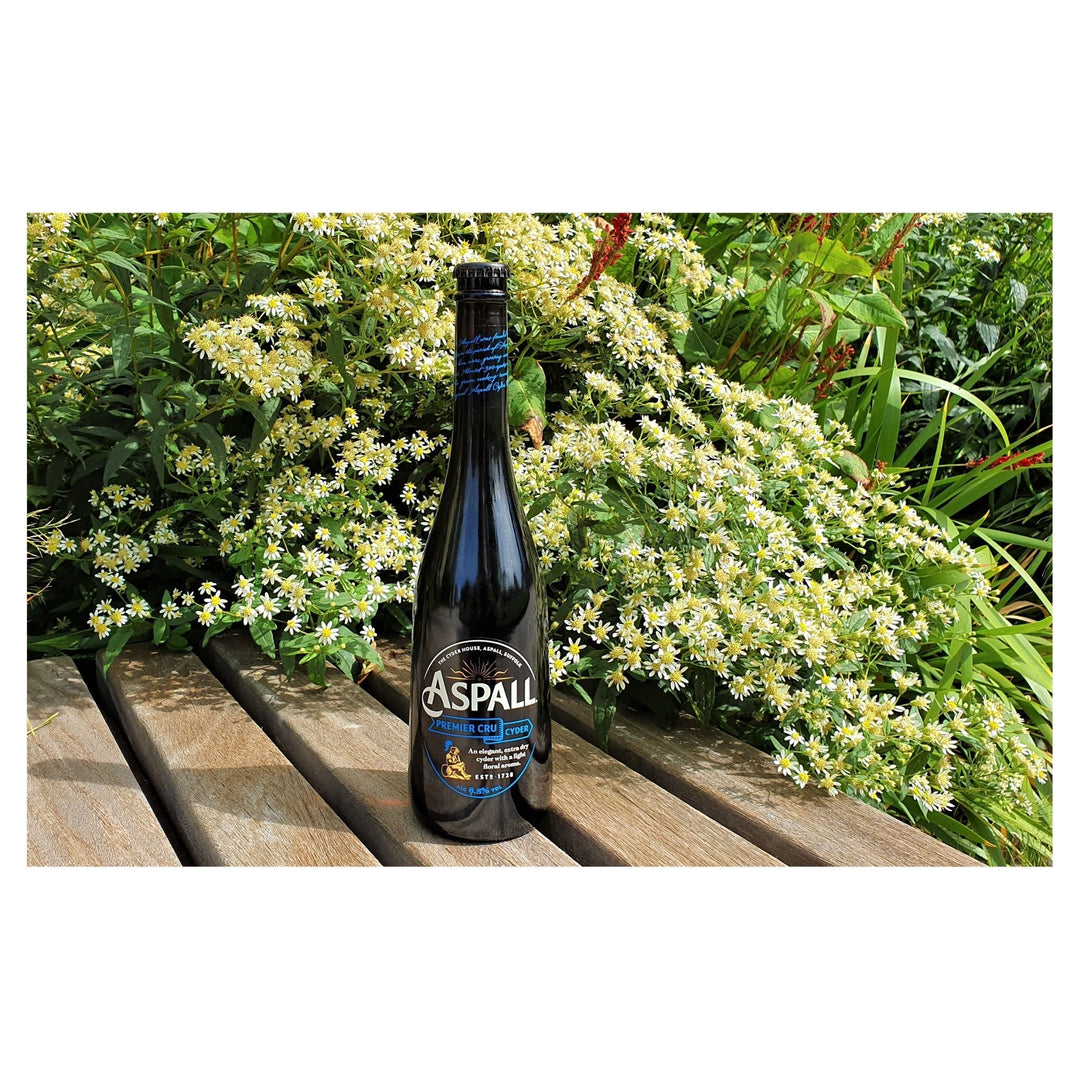 Aspall Premium Cru Cyder 500ml